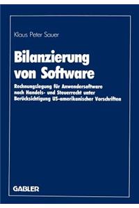 Bilanzierung Von Software