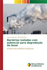 Bactérias isoladas com potencial para degradação de fenol
