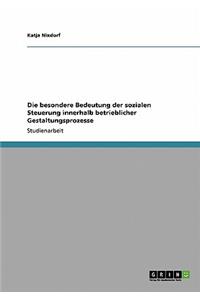 Die besondere Bedeutung der sozialen Steuerung innerhalb betrieblicher Gestaltungsprozesse