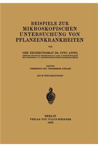 Beispiele Zur Mikroskopischen Untersuchung Von Pflanzenkrankheiten