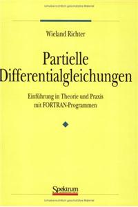 Partielle Differentialgleichungen