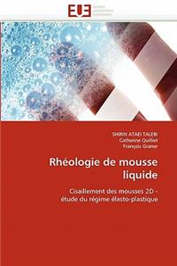 Rhéologie de Mousse Liquide
