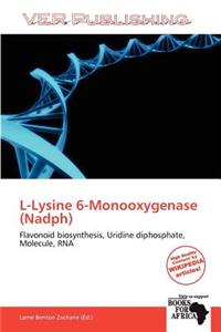 L-Lysine 6-Monooxygenase (Nadph)
