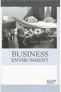 Business Environment