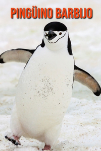 Pingüino barbijo