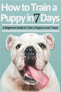 How to Train a Puppy in 7 Days