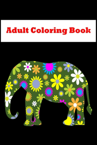 Adult Coloring Book