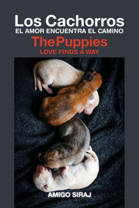 Cachorros / The Puppies