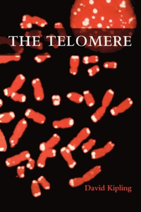 Telomere