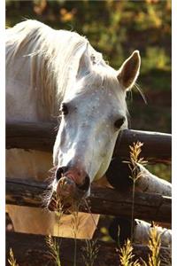Kids Petite Equine Leftie Journal