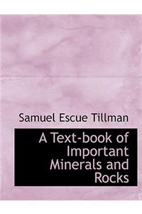 A Text-Book of Important Minerals and Rocks