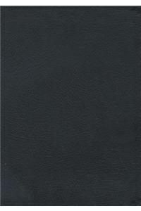 Macarthur Study Bible