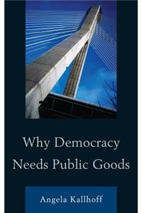 Why Democracy Needs Public Goods