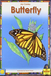 Butterfly Lap Book