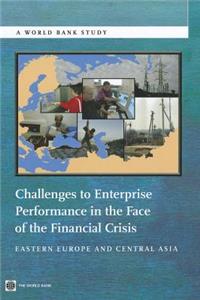 Challenges to Enterprise Performance in the Face of the Financial Crisis