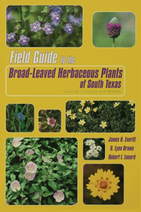 Field Guide to the Broad-Leaved Herbaceous Plants of South Texas