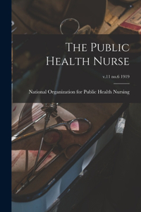 Public Health Nurse; v.11 no.6 1919