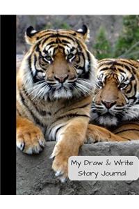 My Draw & Write Story Journal