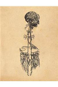 Anatomy Notebook