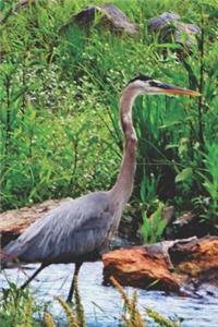 Grey Heron Journal for daily thoughts notebook Lovely Lake Arrowhead Photograph