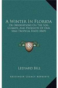 A Winter in Florida