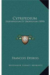 Cypripedium