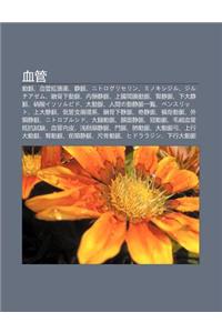 Xue Gu N