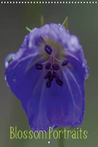 Blossom Portraits 2016