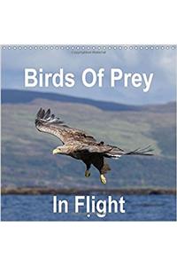 Birds of Prey in Flight 2017