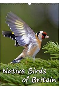 Native Birds of Britain 2018