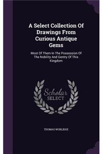 Select Collection Of Drawings From Curious Antique Gems