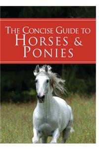 A Concise Guide to Horses