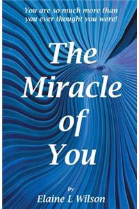 Miracle of You