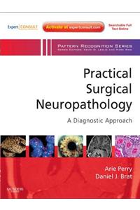Practical Surgical Neuropathology: A Diagnostic Approach E-Book