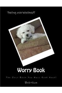 Worry Book