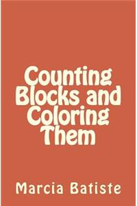 Counting Blocks and Coloring Them
