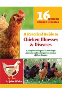 A Practical Guide to Chicken Illnesses & Diseases