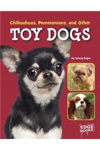 Chihuahuas, Pomeranians, and Other Toy Dogs