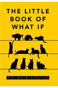 Little Book of What If