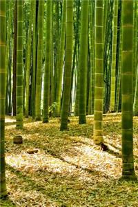 Bamboo Forest Journal