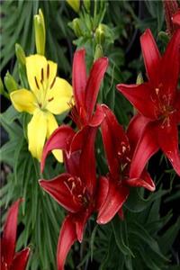 Floral Journal Red Yellow Lilies: (Notebook, Diary, Blank Book)