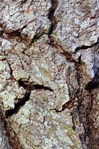 Mighty Oak Tree Bark Journal