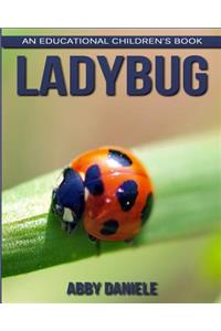 Ladybug! An Educational Children's Book about Ladybug with Fun Facts & Photos