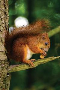 Red Squirrel Any Day Planner Notebook
