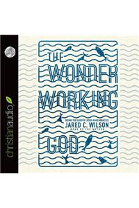 The Wonder-Working God: Seeing the Glory of Jesus in His Miracles