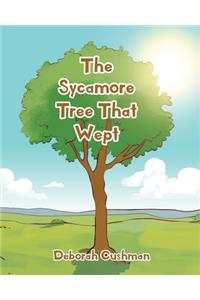 Sycamore Tree That Wept