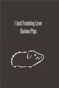 I Just Freaking Love Guinea Pigs