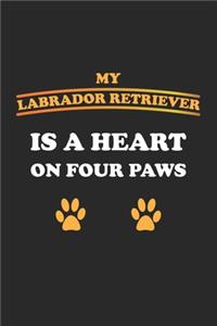 My Labrador Retriever is a heart on four paws