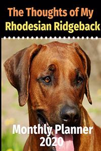 The Thoughts of My Rhodesian Ridgeback