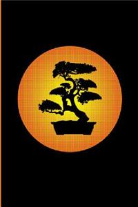 Bonsai Tree